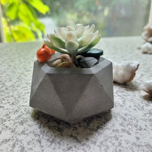Puede incluir: Una pequeña maceta geométrica de hormigón gris que contiene una planta suculenta con hojas verdes claras y blancas. La maceta está decorada con pequeñas piedras y una pequeña figura de pez naranja. El fondo incluye una ventana y rocas decorativas.