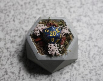 D20 Decorative Planter - Geometric Concrete Pot