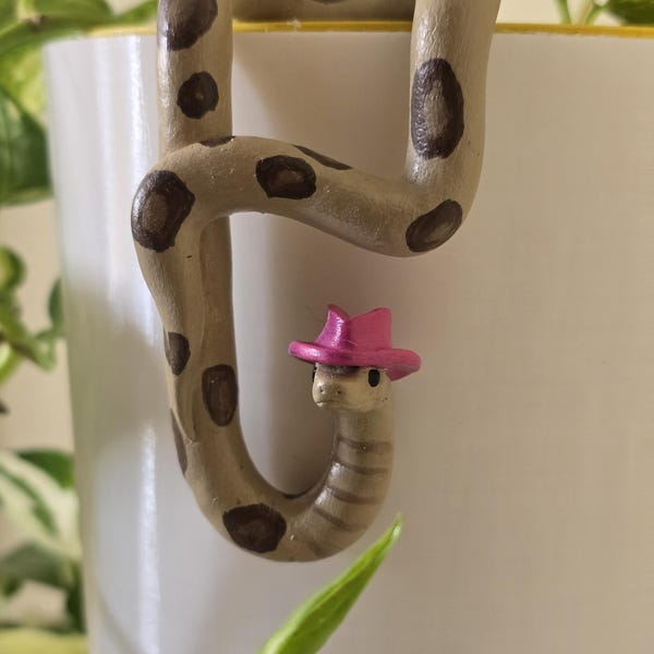 Cowboy Snake Plant Buddy – Hand Painted Plant Hugger