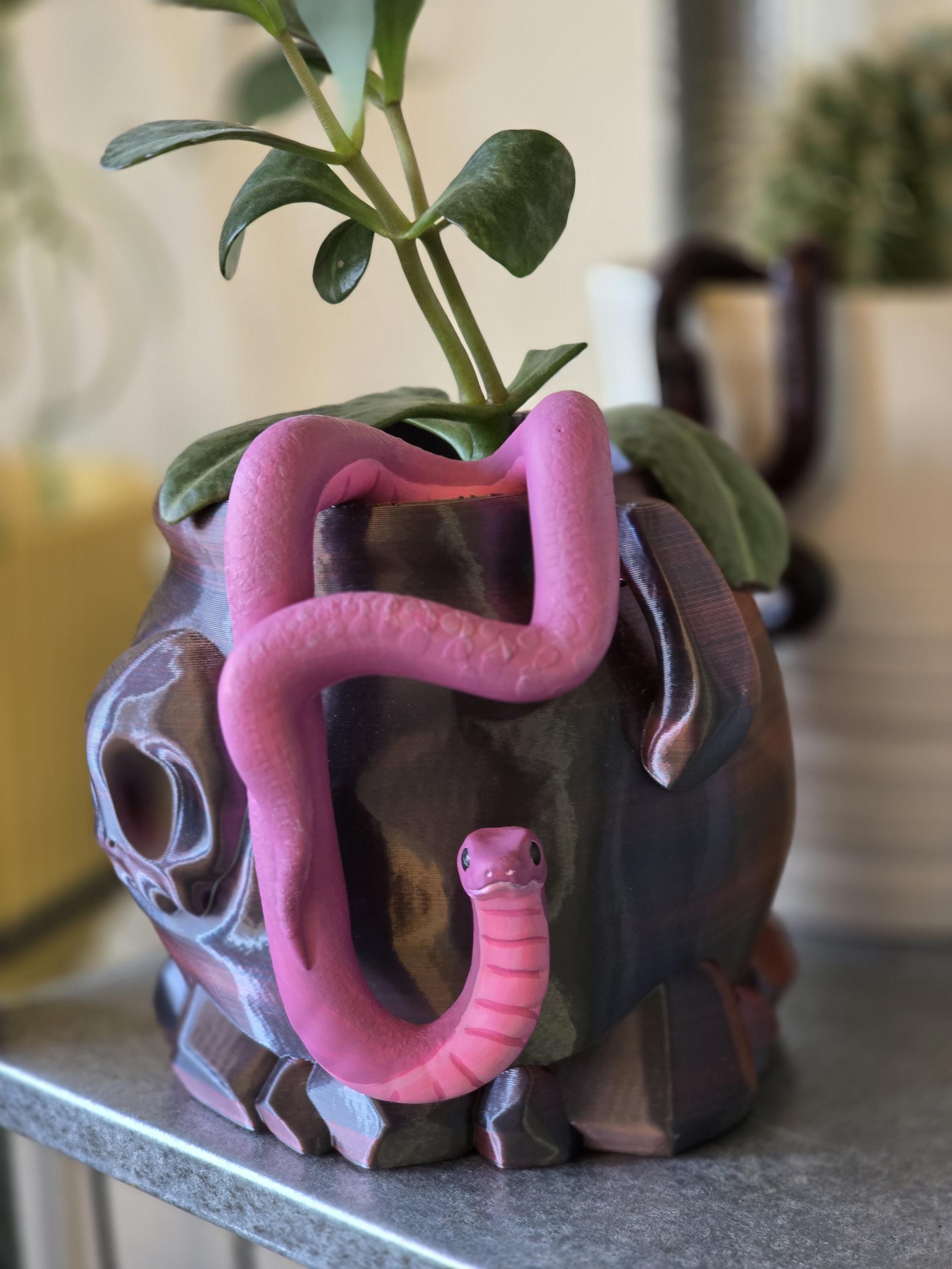 Snake Plant Buddy Decor - 3D Printed Pot Hugger Accessory for