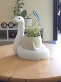 3D Printed Snake Plant Pot: Two-Tone Geometric Succulent Planter product logo