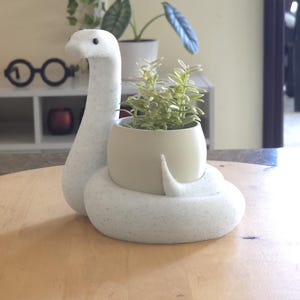 Peut inclure: Planteur en céramique blanche en forme de serpent avec une petite plante verte à l'intérieur. Le planteur est en forme de serpent avec un pot rond pour la plante.