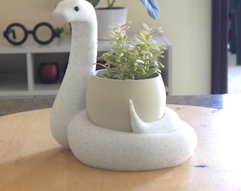 Maceta para planta serpiente impresa en 3D: Maceta geométrica bicolor para suculentas
