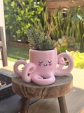3D Printed Octopus Planter: Hand-Painted Kawaii Succulent Pot product logo