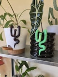 3D Printed Snake Plant Buddy – Cute Resin Planter Hugger for Succulents product logo
