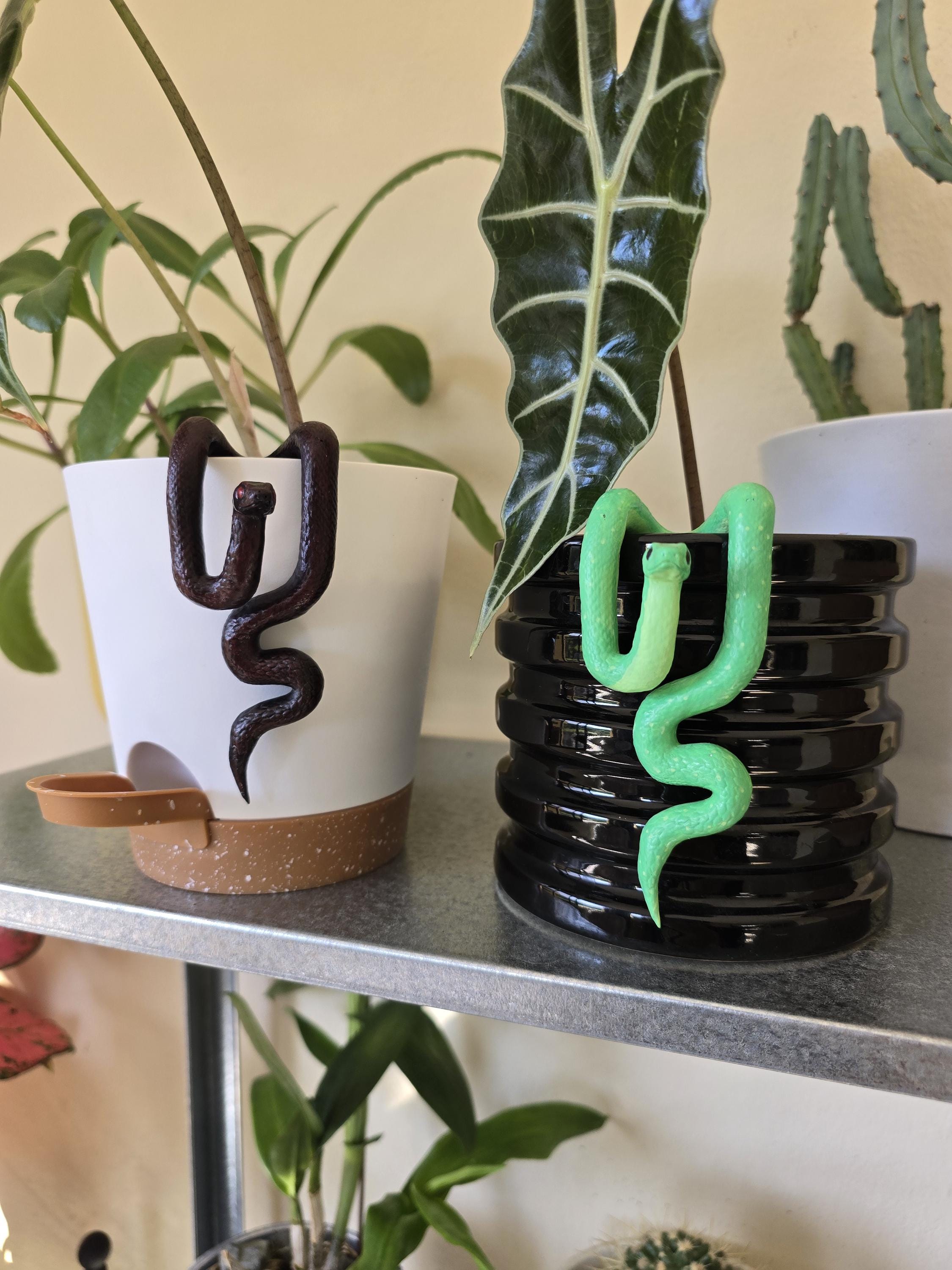 3D Printed Snake Plant Buddy – Cute Resin Planter Hugger for Succulents
