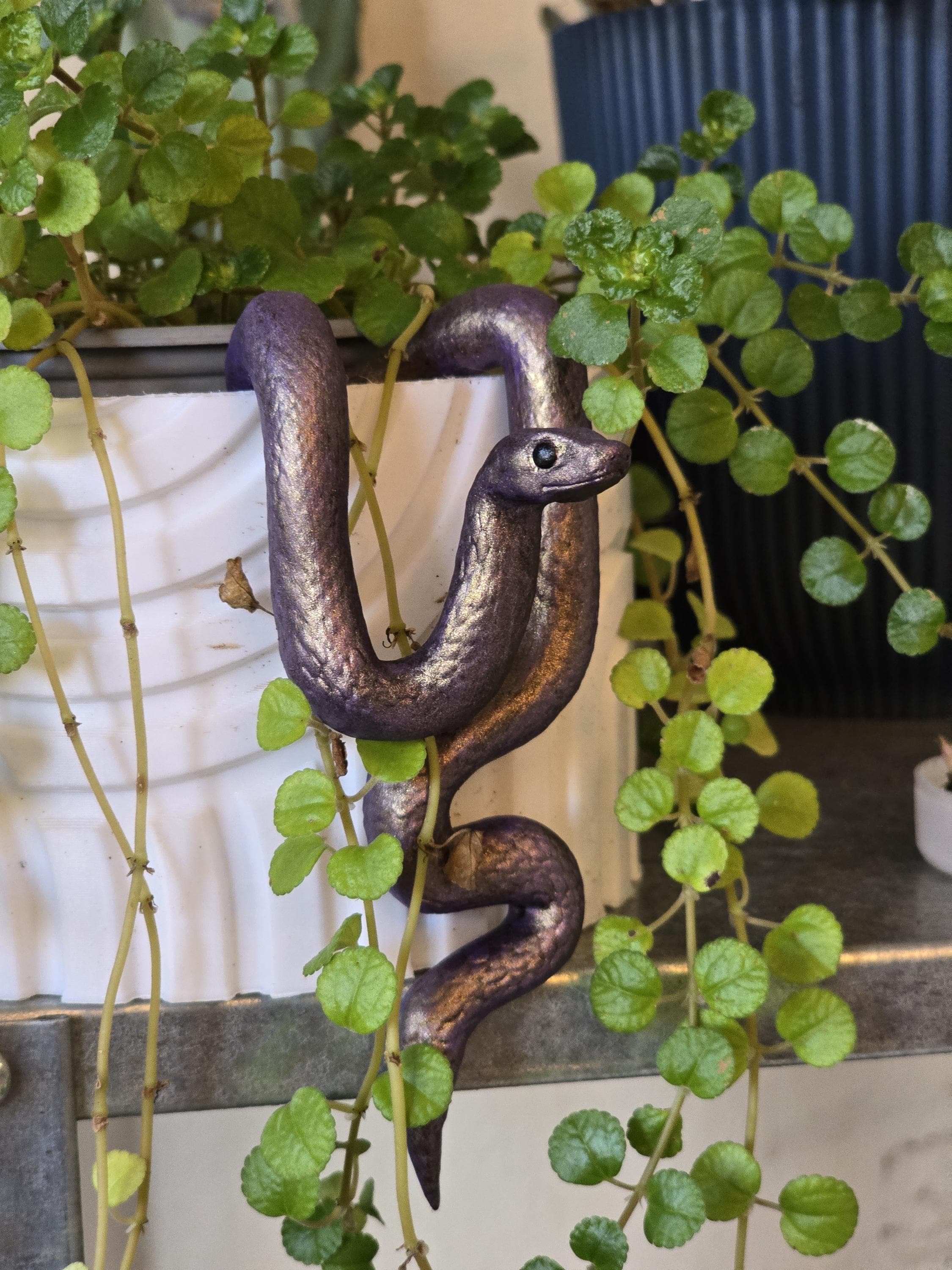 Snake Plant Hanger  Iridescent Colors Resin 3D Printed Planter Buddy,  Holographic Plant Decor - Etsy