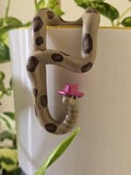 Cowboy Snake Plant Buddy – Hand Painted Plant Hugger product logo
