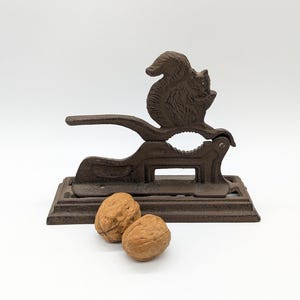 May include: A brown cast iron squirrel-shaped nutcracker with two walnuts. The nutcracker has a lever for cracking nuts. The squirrel is perched on top of the nutcracker. The walnuts are next to the nutcracker.