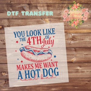 You Look Like the 4th of July DTF Transfer, 4th of July Ready To Press Transfer, DTF Transfer, Direct To Film Transfer, DTF Print, Holiday