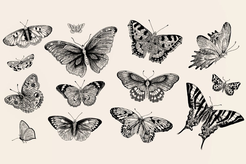 Butterfly Print - Etsy