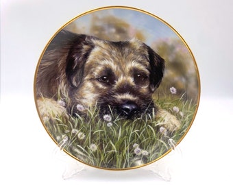 Danbury Mint "In Clover" Border Terrier Decorative Plate (Dog, puppy, paul doyle, gift)
