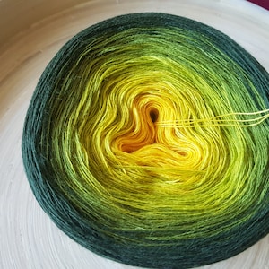 Gradient Merino Yarn Cake: 3 Ply Ombre Color Change