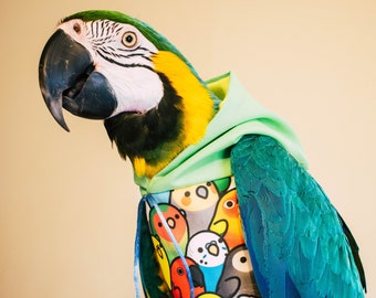 Birdy Bunch Parrot hoody - Bird/parrot clothing, bespoke, babesinthehood. NOTE: D/rings are available as paid option. No names