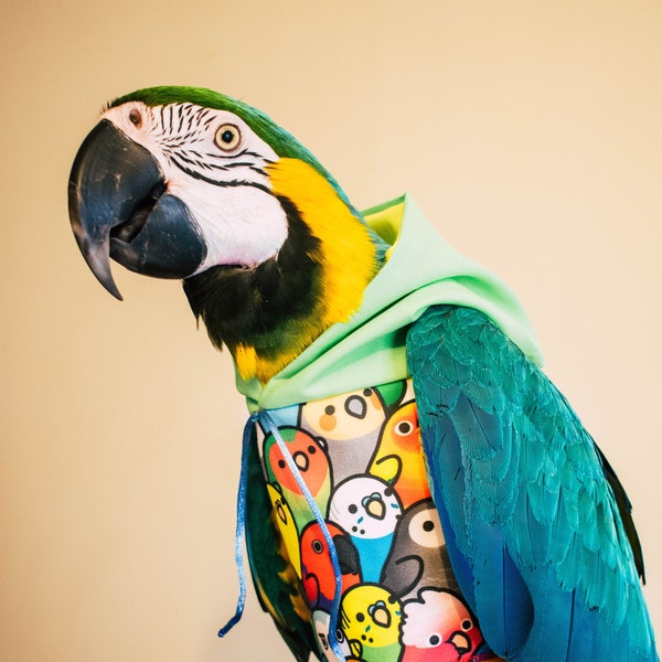 Birdy Bunch Parrot hoody - Bird/parrot clothing, bespoke, babesinthehood. NOTE: D/rings are available as paid option. No names