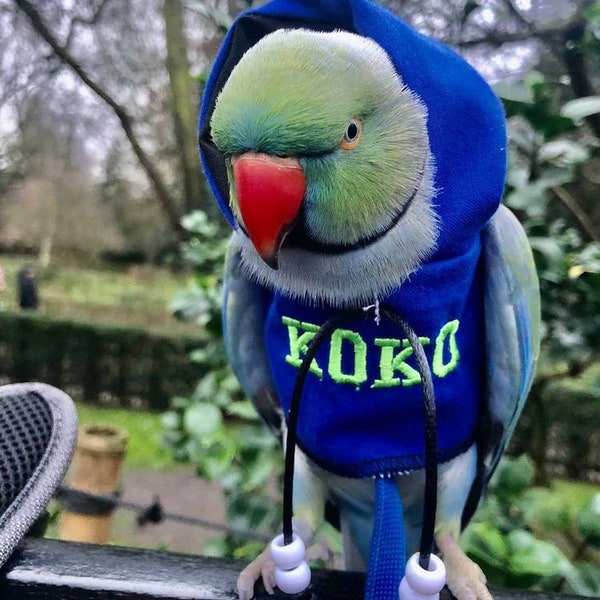 Personalised NAME Parrot/bird hoodies - BESPOKE - you decide! Babesinthehood. NOTE: D/rings are available as paid option