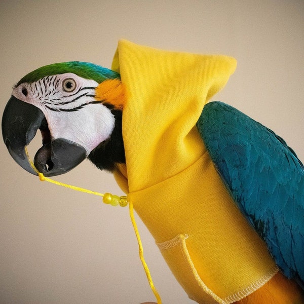 Parrot Hoodie - Etsy