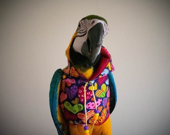 Hearts Delight parrot hoody - Bird/parrot clothing, bespoke, babesinthehood. NOTE: D/rings are available as paid option. No names