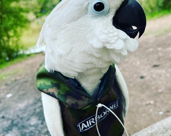 Birdy Airborne Parrot Hoody - Vogel / Papagei Kleidung, maßgeschneidert, Babesinthehood. HINWEIS: D / Ringe sind als kostenpflichtige Option erhältlich. Keine Namen