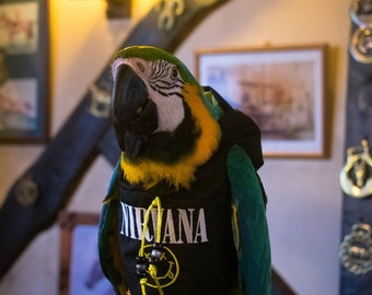 Embroidered Nervarna Hoody - Babesinthehood parrot hoodies. NOTE: D/rings are available as paid option. No names