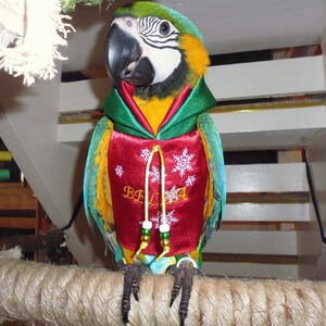 CHRISTMAS - Snowflakes Parrot hoody - Bird/parrot clothing, bespoke, babesinthehood. NOTE: D/rings & Names are available as paid options.