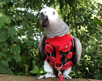 Poppies HARNESS JACKET parrot hoody - Bird/parrot clothing, bespoke, babesinthehood. NOTE: Names are unavailable on this product.