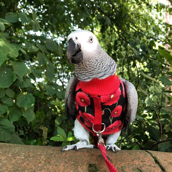 Poppies HARNESS JACKET parrot hoody - Bird/parrot clothing, bespoke, babesinthehood. NOTE: Names are unavailable on this product.