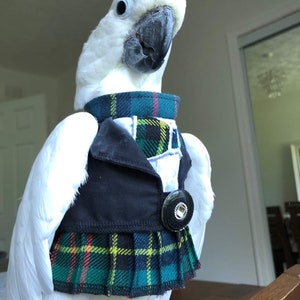 Kilted tuxedo! Birds/parrot clothing - bespoke - Babesinthehood. NOTE: D/rings are available as paid option. No names