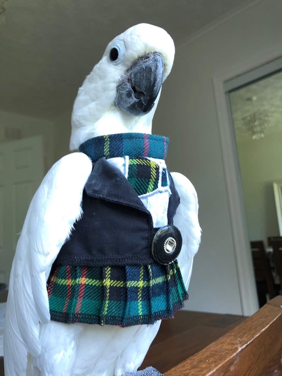 Kilted Tuxedo Birds/parrot Clothing Bespoke Babesinthehood. NOTE