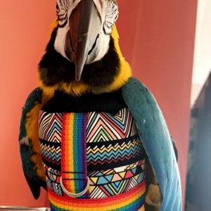 Mystic HARNESS JACKET Papagei Hoody Vogel / Papagei Kleidung, maßgeschneidert, Babesinthehood. HINWEIS: Namen sind auf diesem Produkt nicht verfügbar. Bild 4