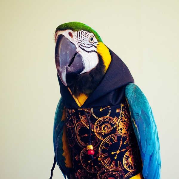 Steampunk clockfaces parrot hoody - Bird/parrot clothing, bespoke, babesinthehood. NOTE: D/rings are available as paid option. No names