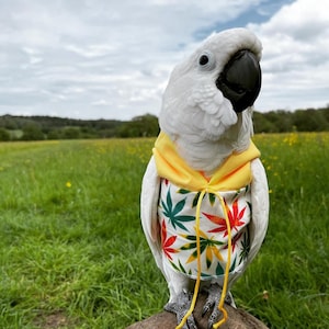 Lovely leafies parrot hoody - Bird/parrot clothing, bespoke, babesinthehood. NOTE: D/rings are available as paid option. No names