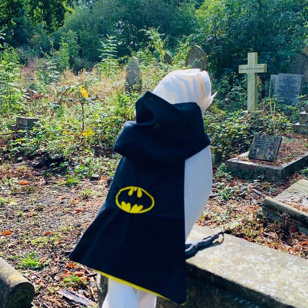 DELUXE Batman Hoody With Cape - Babesinthehood parrot hoodies. NOTE: D/rings & Names are unavailable on this product.