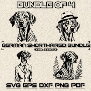 Pacote SVG de ponteiro alemão de pêlo curto, cão apontador espreitando png, ponteiro de chapéu de cowboy, cão ponteiro floral, óculos de sol ponteiro alemão de pêlo curto