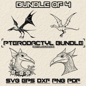 Pterodactylus SVG-bundel, PNG-clipart - dinosaurus digitale download, prehistorische vogel illustratie perfect voor ambachten & tshirt ontwerpen dinosaurus