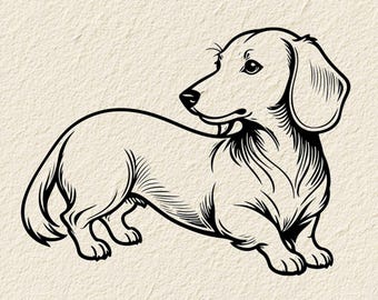 Ilustración vectorial de mariposa y flores de perro salchicha: archivos SVG, PNG y PDF (descarga digital)