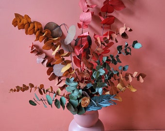 Preserved Eucalyptus in Bright Funky Shades - Everlasting, Dried Foliage Simple Home Decor - Funk & Bloom