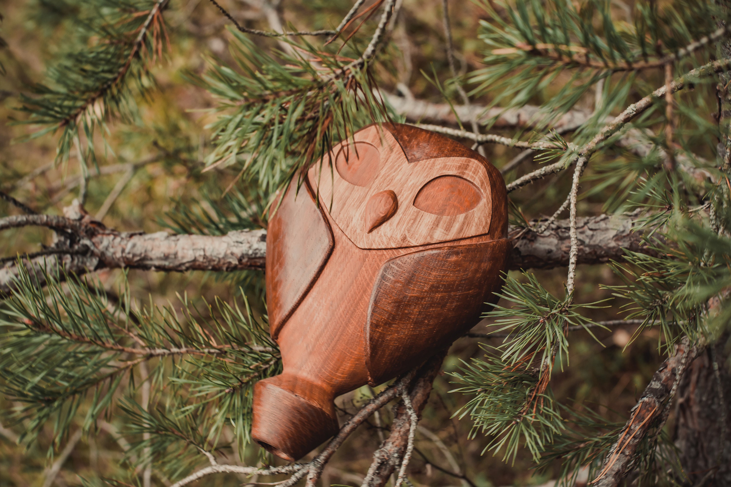 Дом Совы. Сова коричневая сова связанная с Эдой. - Etsy