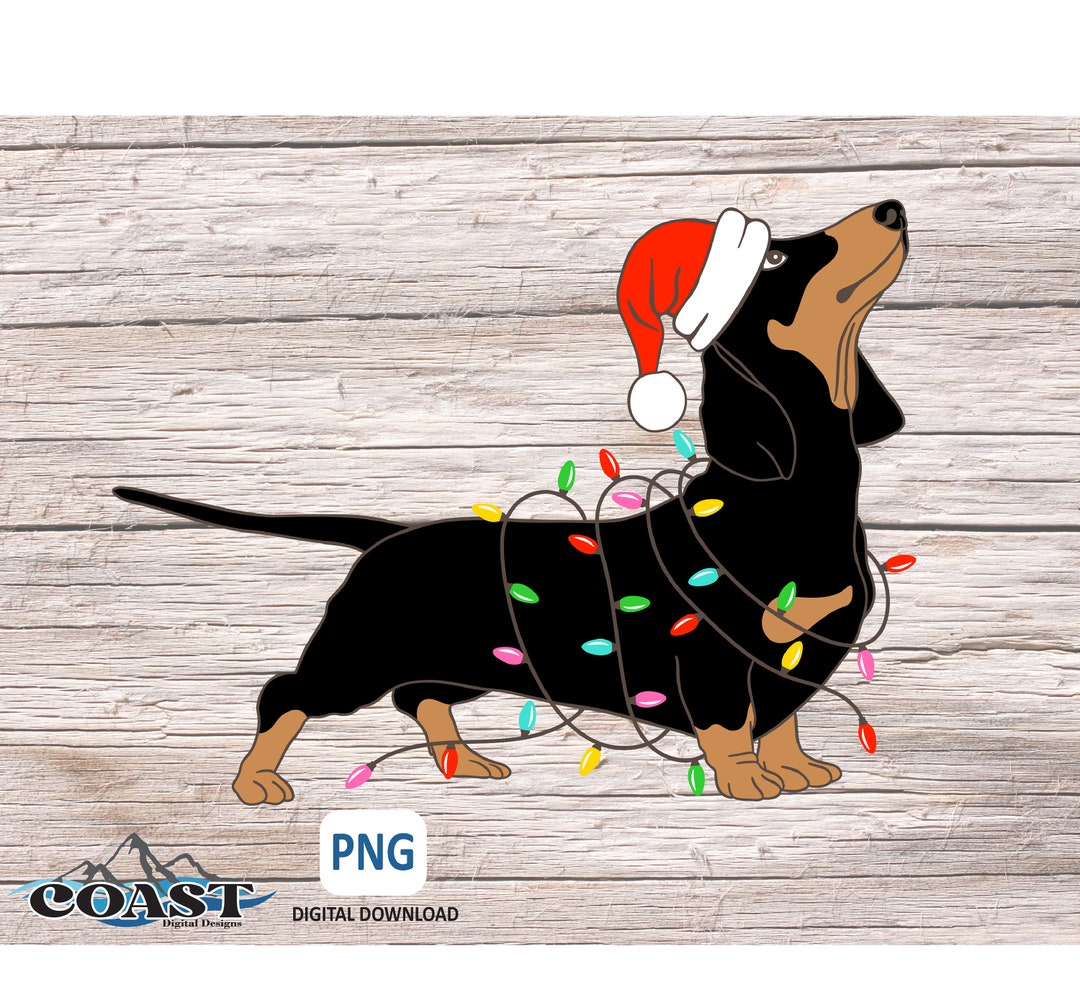 Christmas Dachshund Lights PNG Clipart, Dog Christmas Lights, Merry ...