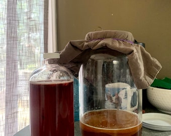 Kombucha Brewing Kit