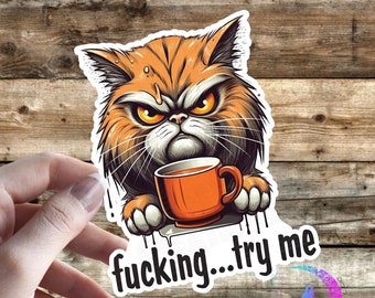 Fucking Try Me - Grumpy Cat - sticker - High Quality Waterproof Vinyl Sticker! Available in Multiple Sizes! Funny Sarcastic Cat