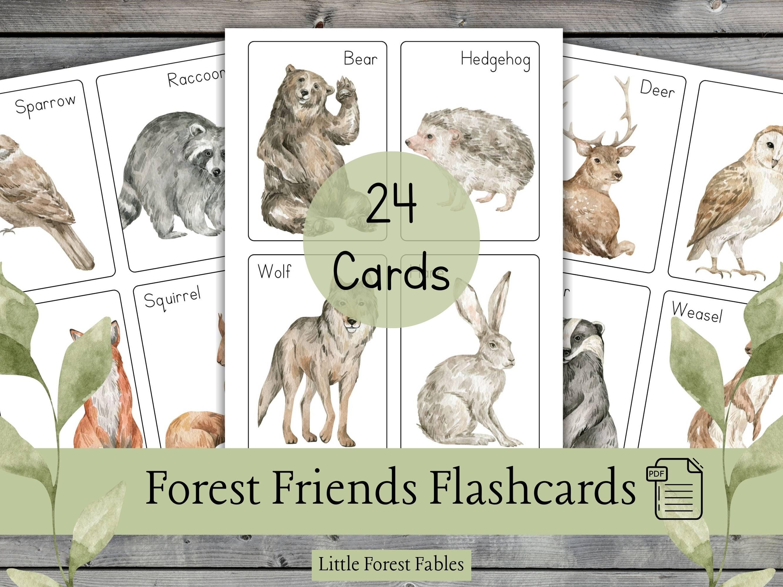 Forest Animals Printable Flashcards for Nature Units, Printable PDF ...