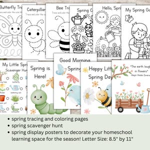 May include: A collection of spring-themed educational printables. Includes tracing and coloring pages featuring butterflies, caterpillars, and bees. Also includes a scavenger hunt and display posters. Letter size is 8.5" by 11".