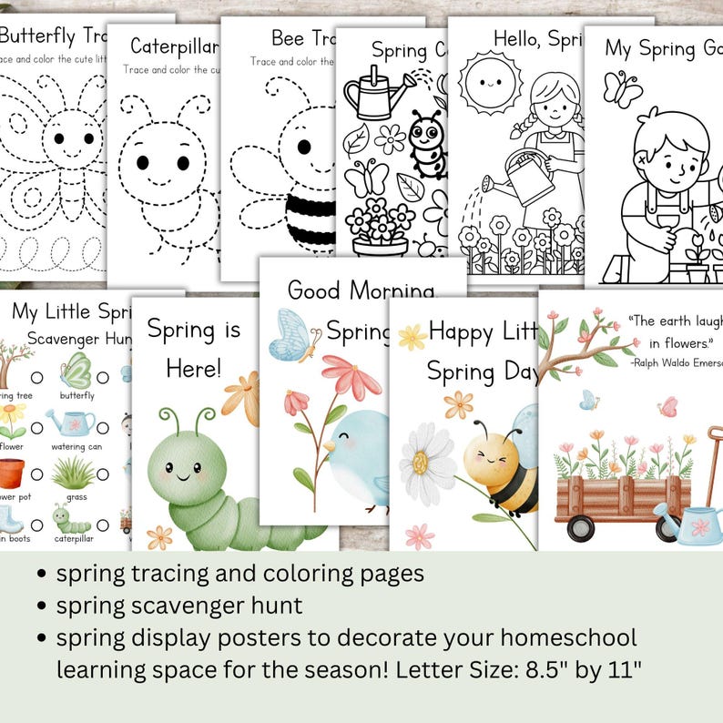 May include: A collection of spring-themed educational printables. Includes tracing and coloring pages featuring butterflies, caterpillars, and bees. Also includes a scavenger hunt and display posters. Letter size is 8.5" by 11".