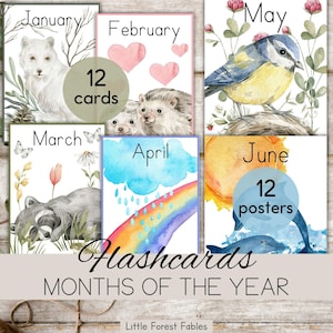 Schede didattiche dei mesi dell'anno per bambini, schede didattiche stampabili per l'istruzione parentale, risorse per l'apprendimento e la scuola, poster murali del mese del calendario di classe