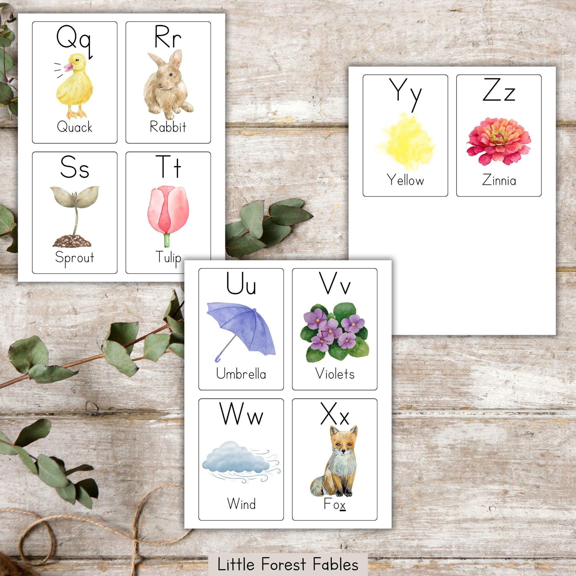 Spring Alphabet Flashcards, Printable Spring Vocabulary Cards for ...