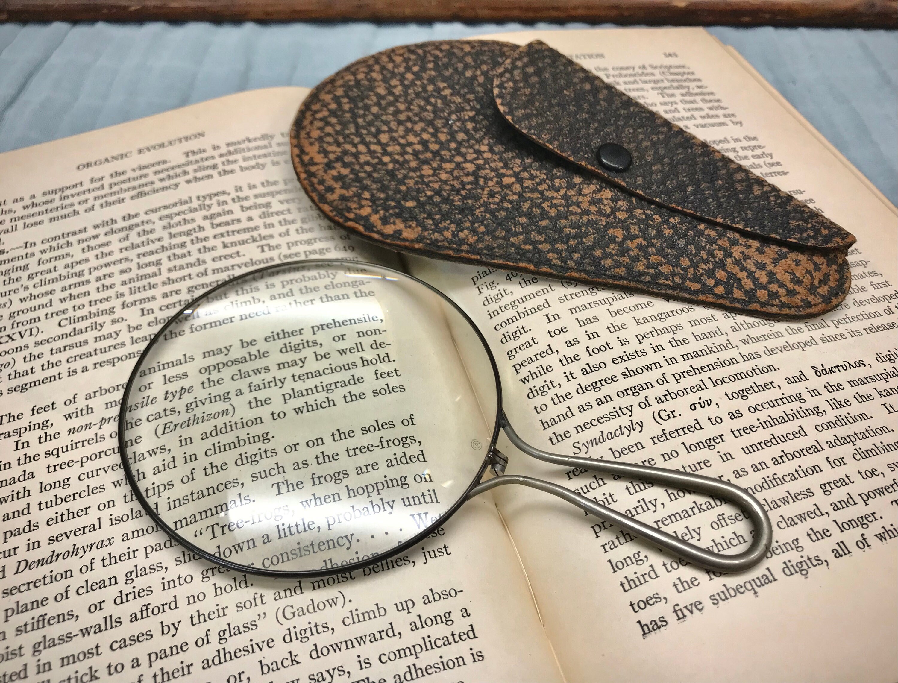 Magnifying Glass Brass Newspaper, Books Reading, Magnifier, Vintage Style  Item, Collectible Item, Gifting Item, Christmas Gift 