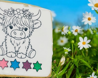 Custom Edible Image Sugar Cookies, Paint Your Own Party Treats