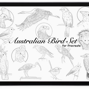 May include: A digital illustration set of 14 Australian birds, including an emu, cockatoo, and kookaburra. The set is designed for use with the Procreate app.
