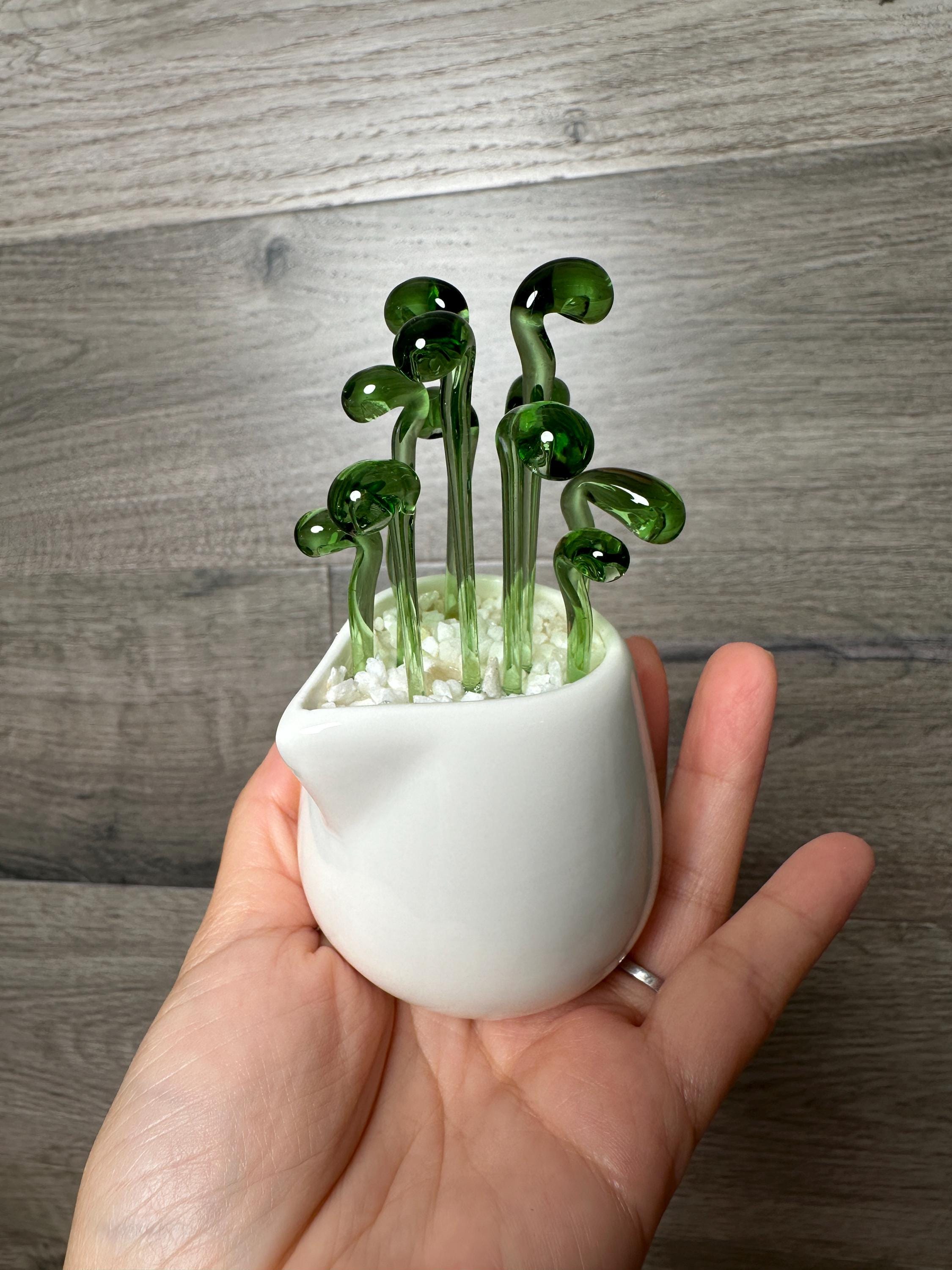 米国の販売者 - 手作りガラス鉢植え植物、多肉植物、人工サボテン